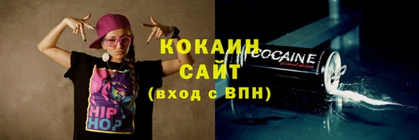 твердый Горно-Алтайск