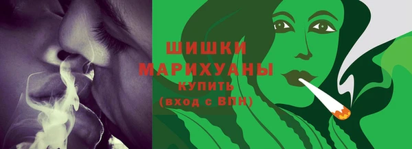 Альфа ПВП Гусев