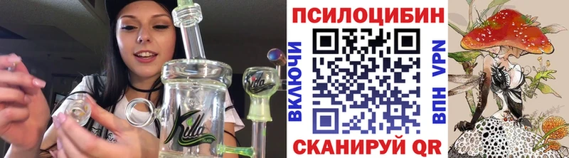 даркнет сайт  МЕГА ТОР  Галлюциногенные грибы мухоморы  Пушкино 